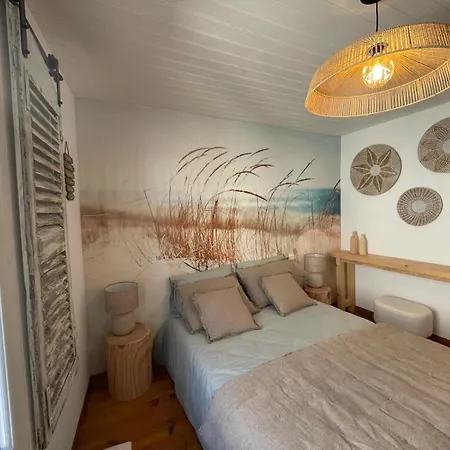 Tatil Evi Maison Cosy, 2 Chambres, Adossee Aux Remparts Aigues-Mortes