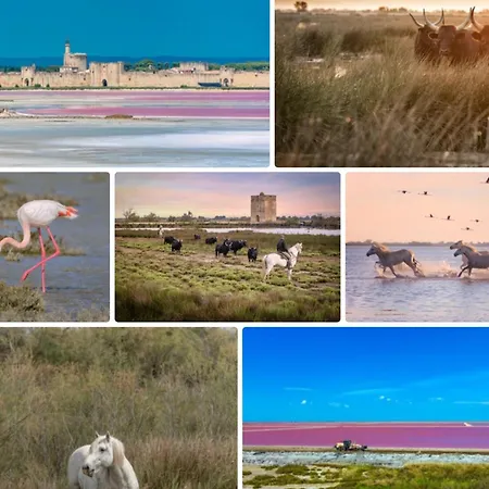 Maison Cosy, 2 Chambres, Adossée Aux Remparts *